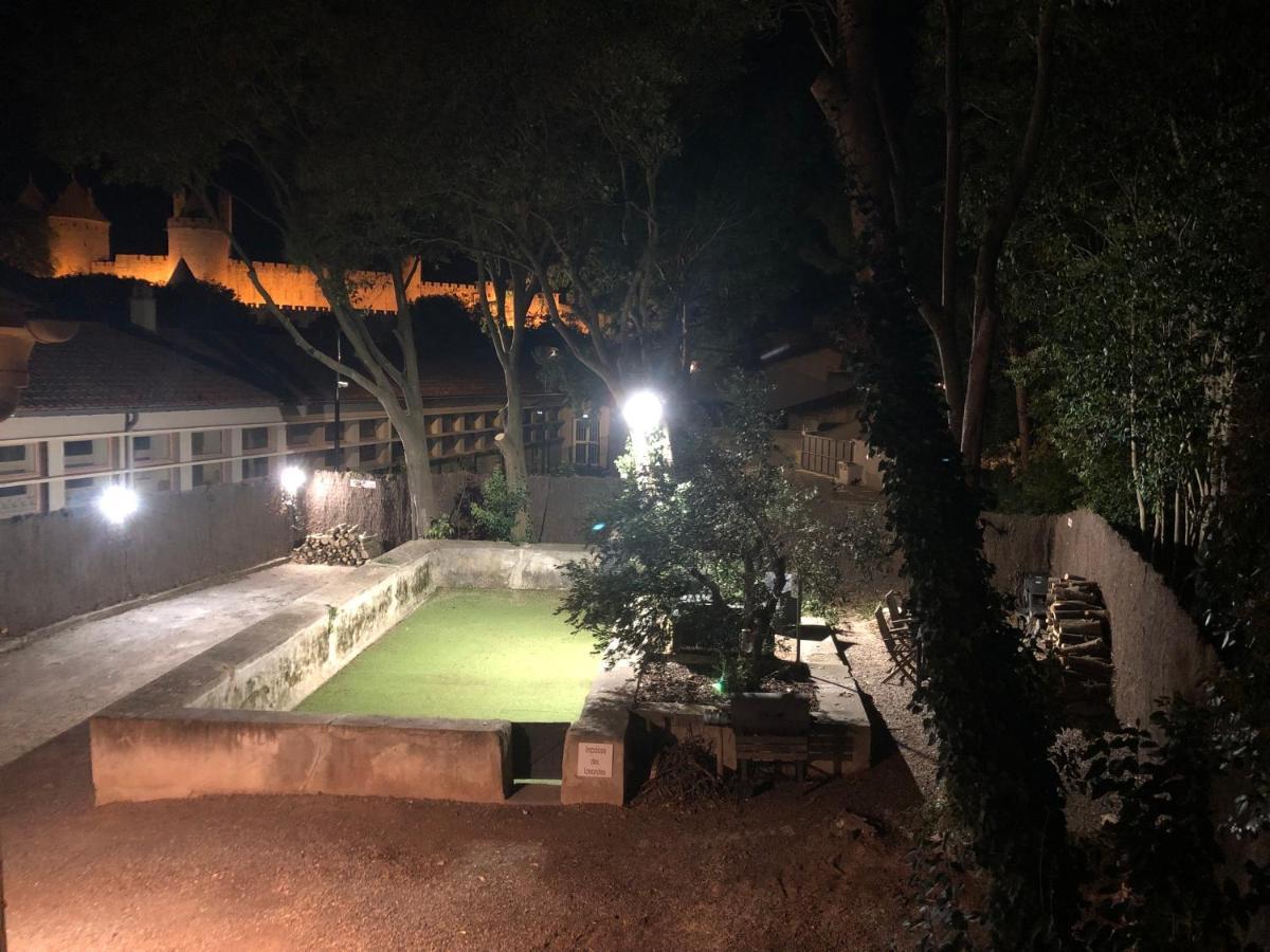 Au Vieux Lavoir Avec Parking Prive, Jardin , Climatisation, A 500 M De La Cite Carcassonne Exteriér fotografie