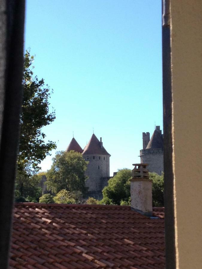 Au Vieux Lavoir Avec Parking Prive, Jardin , Climatisation, A 500 M De La Cite Carcassonne Exteriér fotografie
