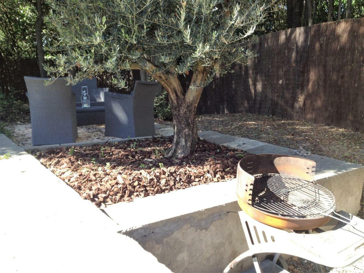Au Vieux Lavoir Avec Parking Prive, Jardin , Climatisation, A 500 M De La Cite Carcassonne Exteriér fotografie