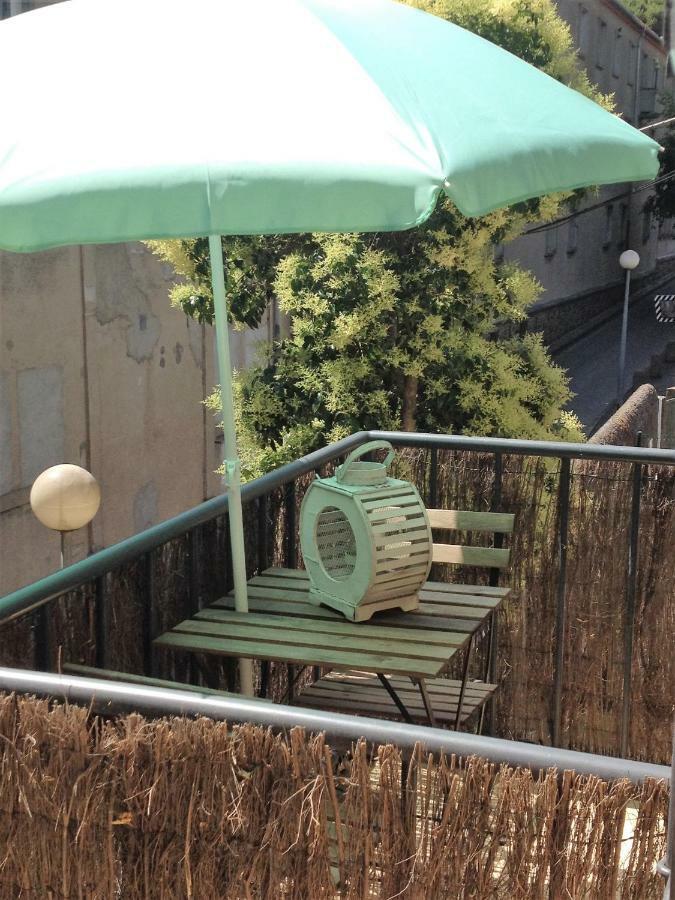 Au Vieux Lavoir Avec Parking Prive, Jardin , Climatisation, A 500 M De La Cite Carcassonne Exteriér fotografie