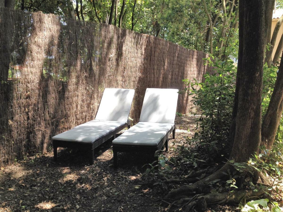 Au Vieux Lavoir Avec Parking Prive, Jardin , Climatisation, A 500 M De La Cite Carcassonne Exteriér fotografie