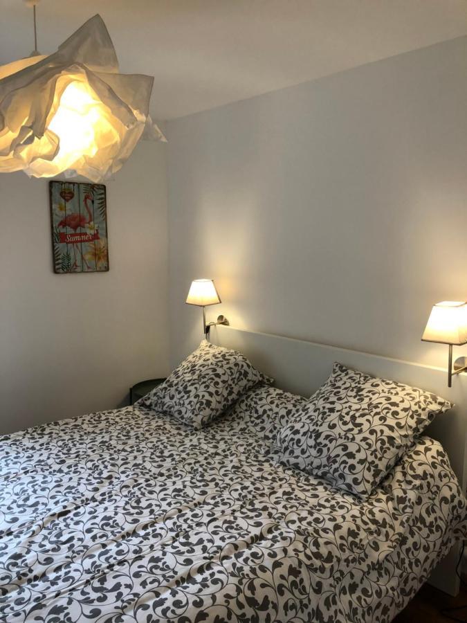 Au Vieux Lavoir Avec Parking Prive, Jardin , Climatisation, A 500 M De La Cite Carcassonne Exteriér fotografie